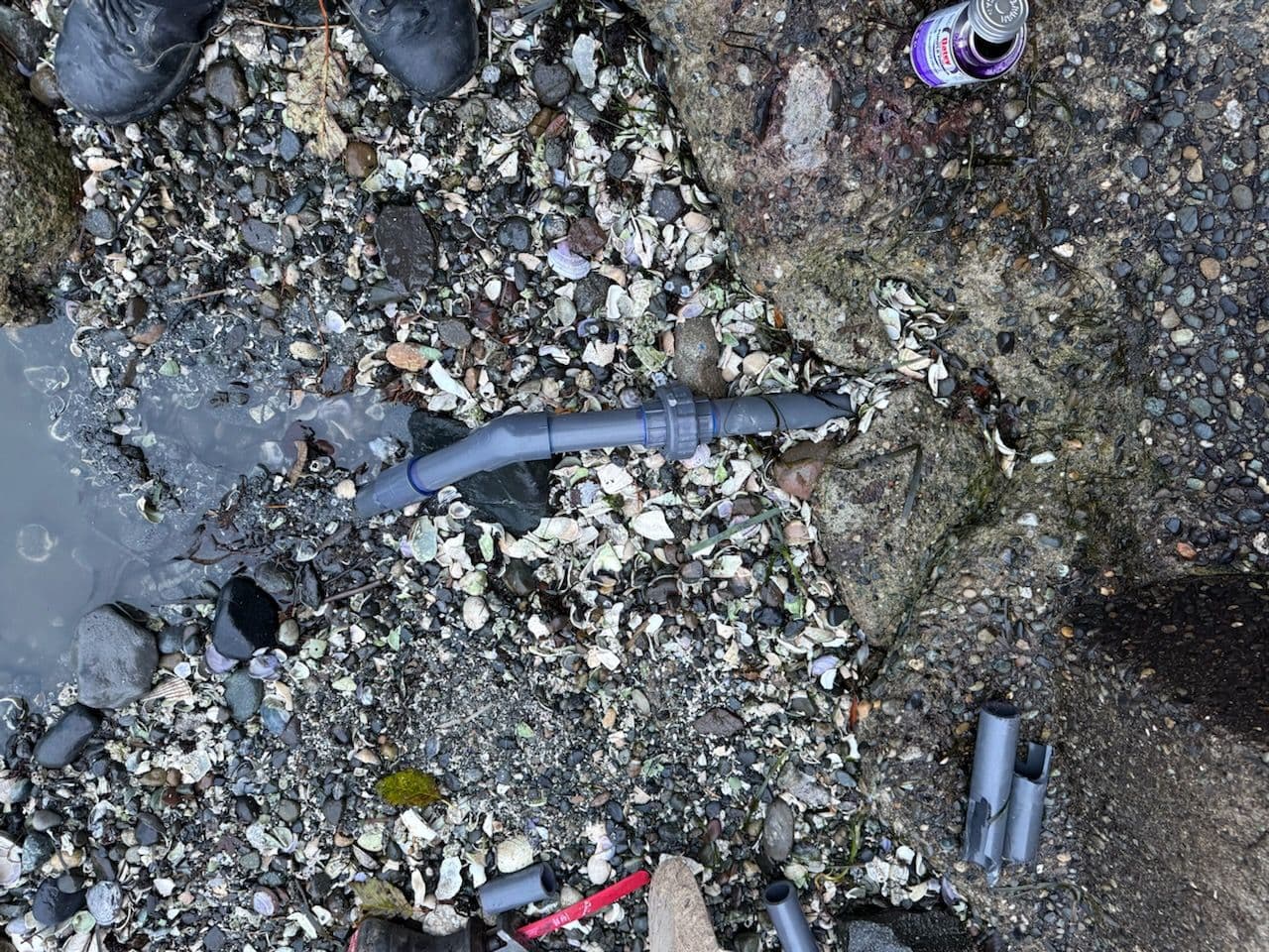 Project Sewer Pump Drain Repair by the Shore image